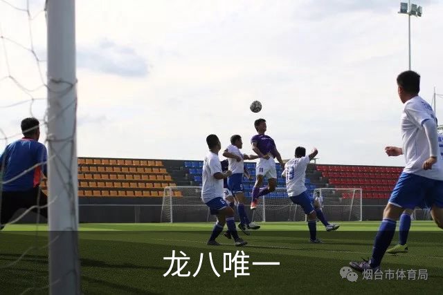 龙八唯一公司介绍图片